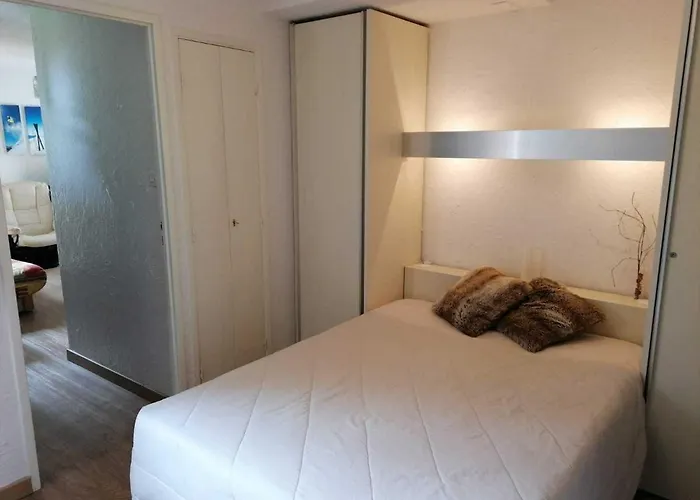 شقة Cosy 4 Personnes Au Pied Des Pistes - Fr-1-516-43