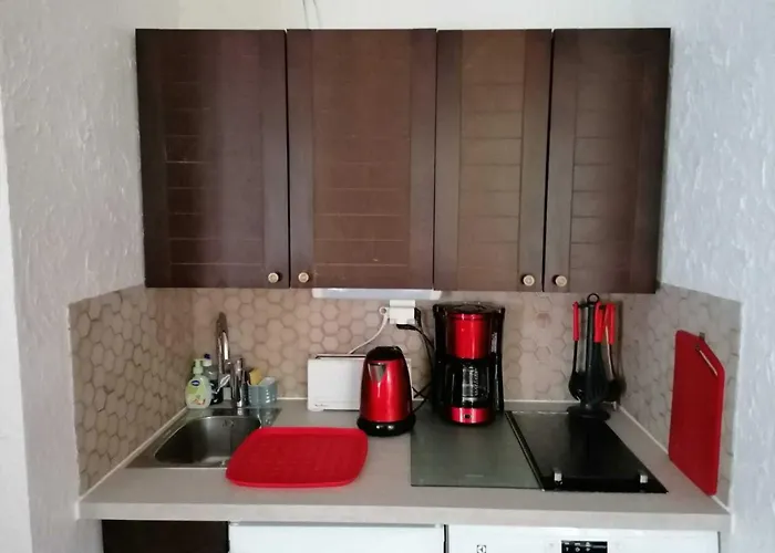 Cosy 4 Personnes Au Pied Des Pistes - Fr-1-516-43